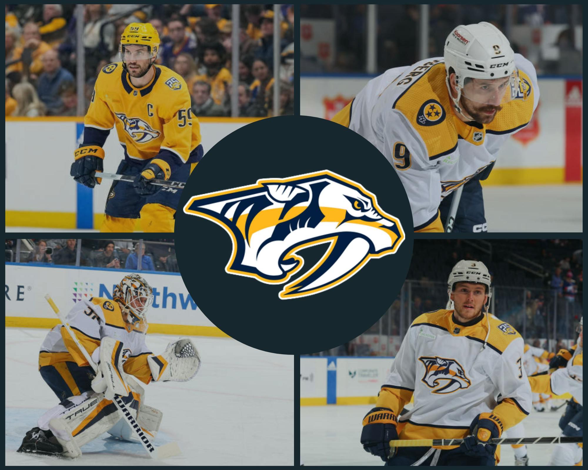 Nashville Predators, Nashville, Tennessee, NHL