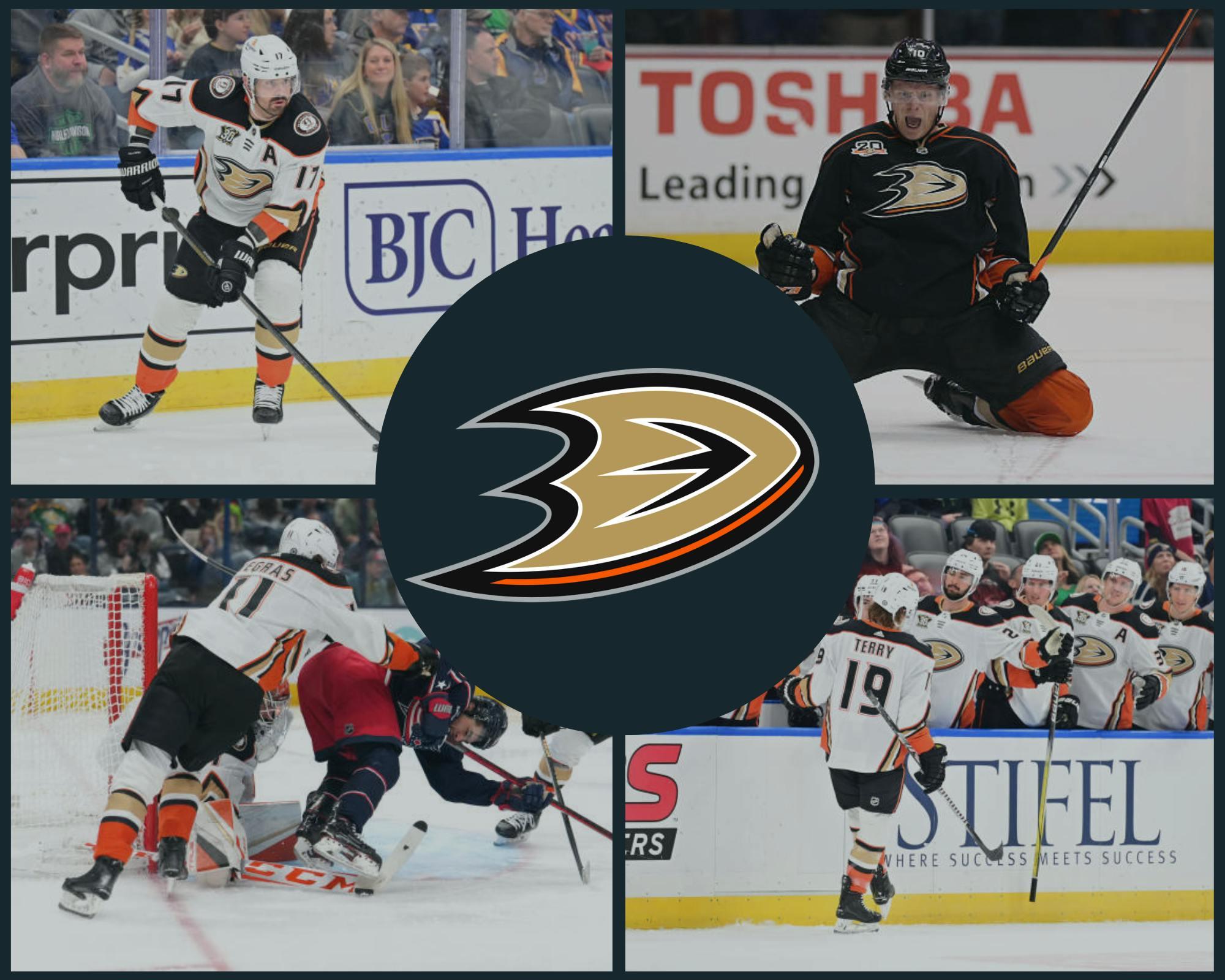 Anaheim Ducks, Anaheim, California, NHL